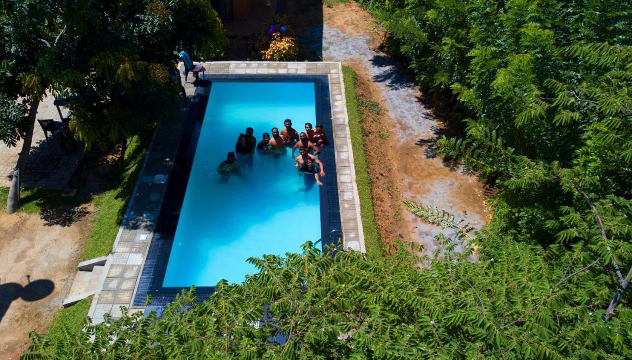 Thammenna Eco Cabins Dambulla Eksteriør billede